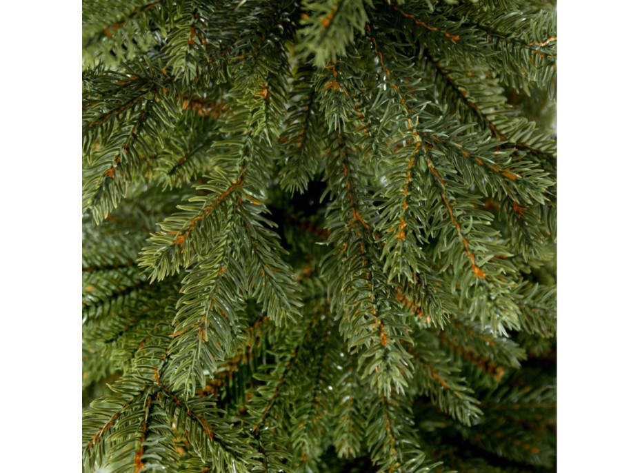 Vánoční stromek - diamantová borovice [CLONE] [CLONE] [CLONE] [CLONE] [CLONE] [CLONE] [CLONE] [CLONE]