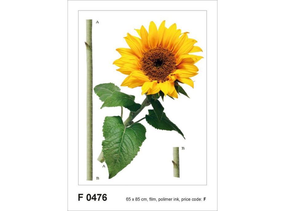Dizajnová samolepka SLNEČNICA 65x85 cm