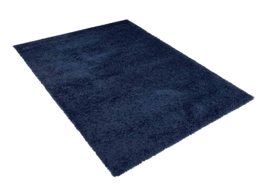 NA SKLADE: Moderný kusový koberec ESSENCE - modrý 120x150 cm