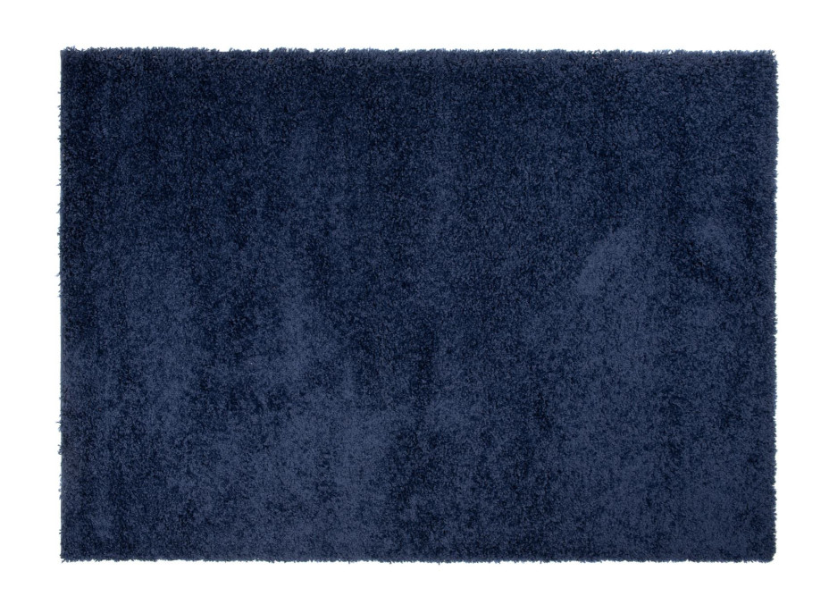 NA SKLADE: Moderný kusový koberec ESSENCE - modrý 120x150 cm