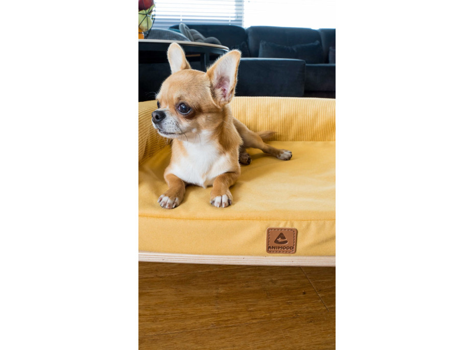 Pohovka pre psov SONIA - horčicová