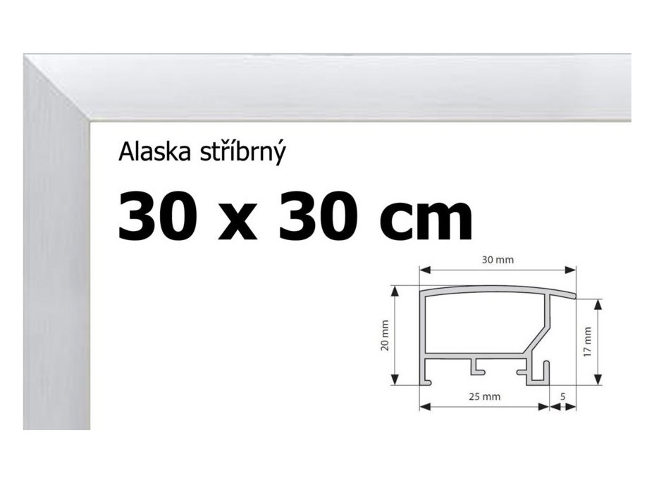 BFHM Alaska hliníkový rám 30x30cm - strieborný