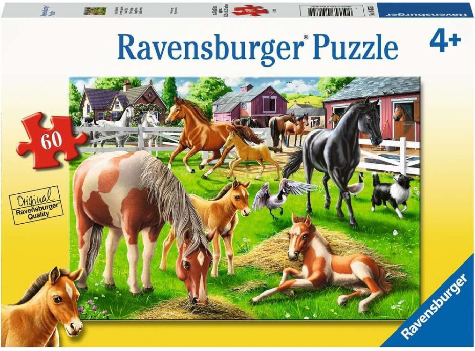 RAVENSBURGER Puzzle Šťastné kone 60 dielikov