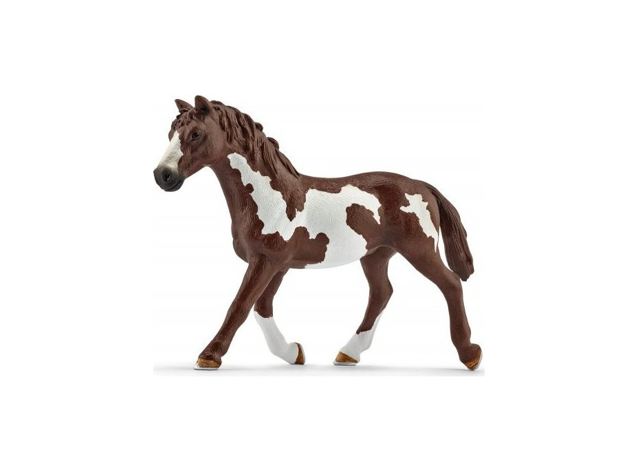 SCHLEICH Horse Club® 41418 Kovboj s lasom na koni a príslušenstvo