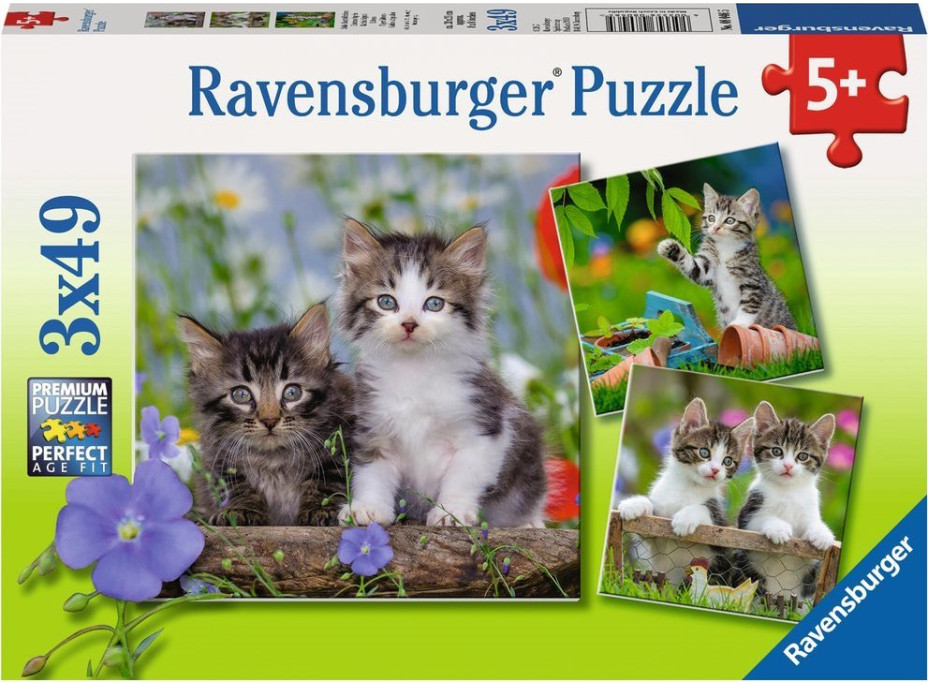 RAVENSBURGER Puzzle Mačiatka 3x49 dielikov