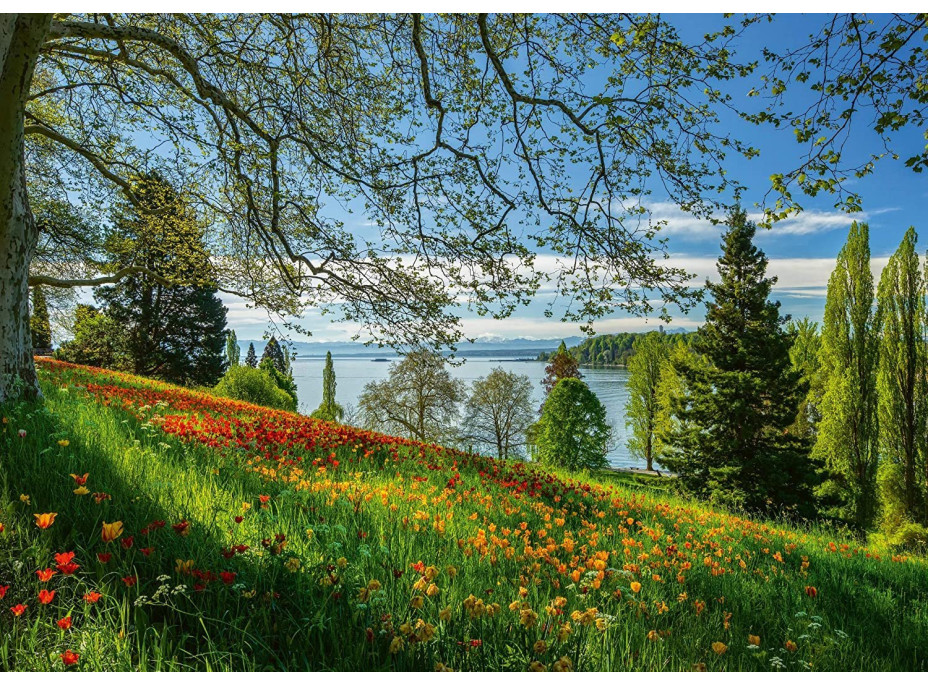 SCHMIDT Puzzle Kvitnúce tulipány na ostrove Mainau 1000 dielikov