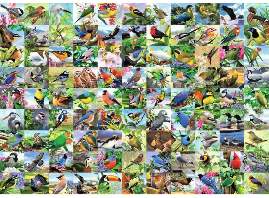 RAVENSBURGER Puzzle 99 úchvatných vtákov EXTRA 300 dielikov