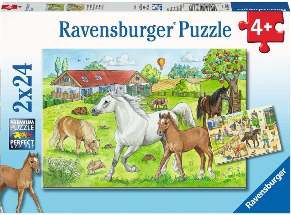 RAVENSBURGER Puzzle V stajniach 2x24 dielikov