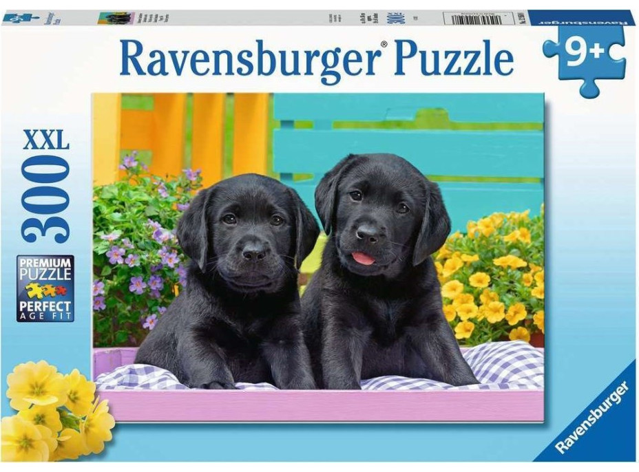 RAVENSBURGER Puzzle Čierni labradori XXL 300 dielikov