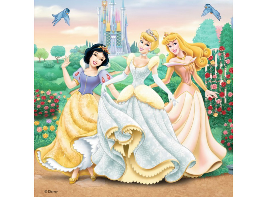 RAVENSBURGER Puzzle Disney princeznej: Sny 3x49 dielikov