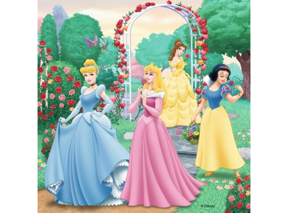 RAVENSBURGER Puzzle Disney princeznej: Sny 3x49 dielikov