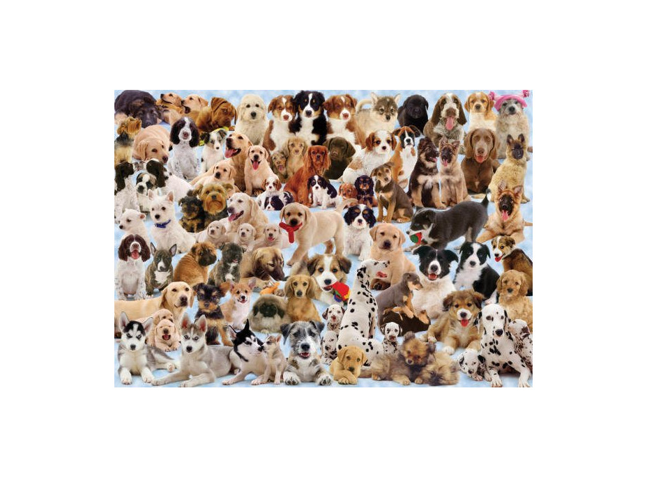 RAVENSBURGER Puzzle Psíkové 1000 dielikov