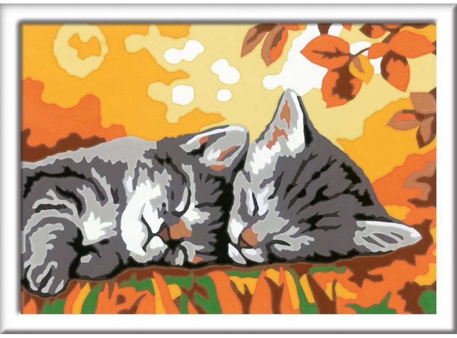 RAVENSBURGER CreArt Maľovanie podľa čísel: Jesenné mačiatka 18x13cm