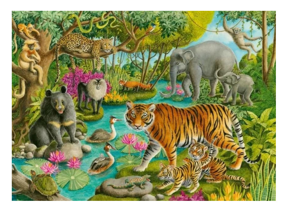 RAVENSBURGER Puzzle Indický les 60 dielikov