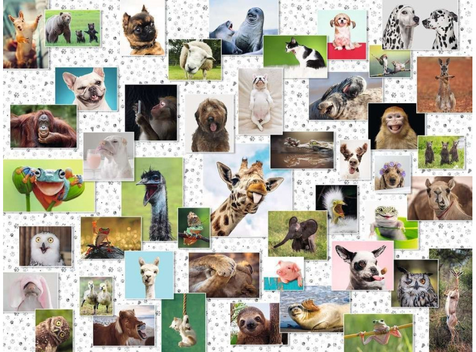 RAVENSBURGER Puzzle Koláž so zvieracími ksichtíkmi 1500 dielikov