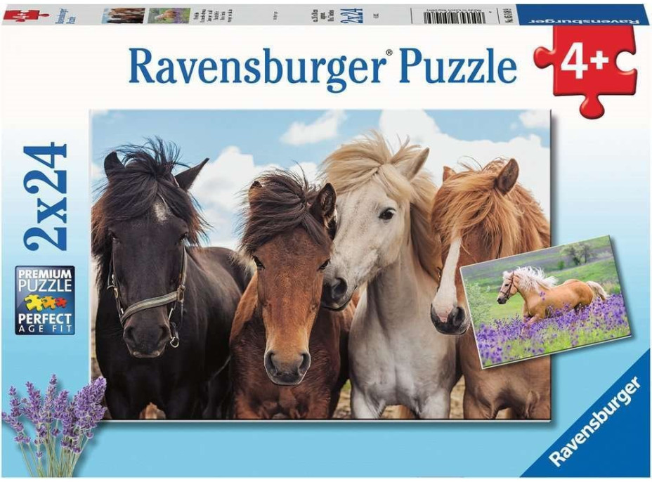 RAVENSBURGER Puzzle Konská láska 2x24 dielikov