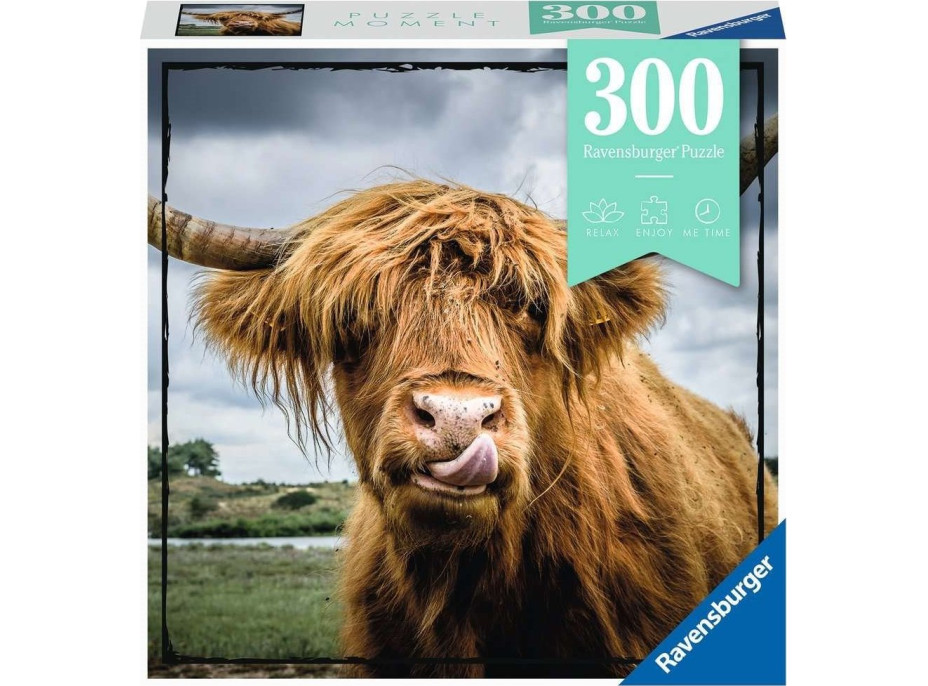 RAVENSBURGER Puzzle Moment: Highlandský dobytok 300 dielikov