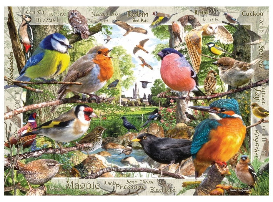 RAVENSBURGER Puzzle Naši operení priatelia 1000 dielikov