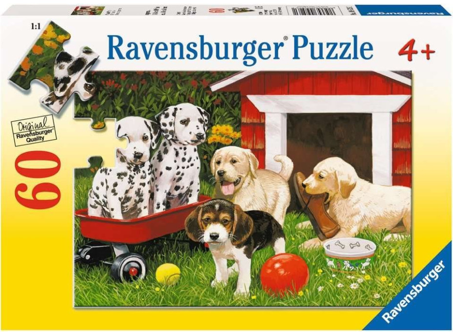 RAVENSBURGER Puzzle Šteňacia párty 60 dielikov