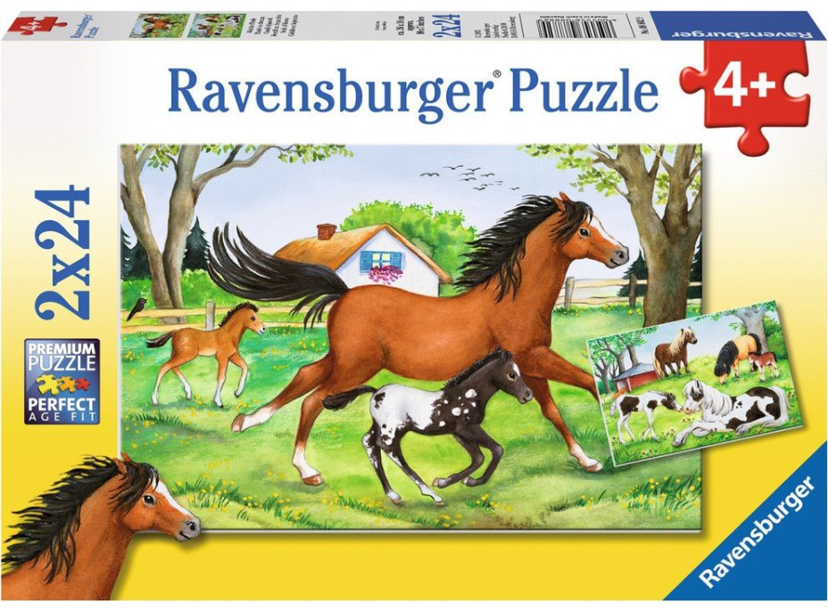 RAVENSBURGER Puzzle Svet koní 2x24 dielikov