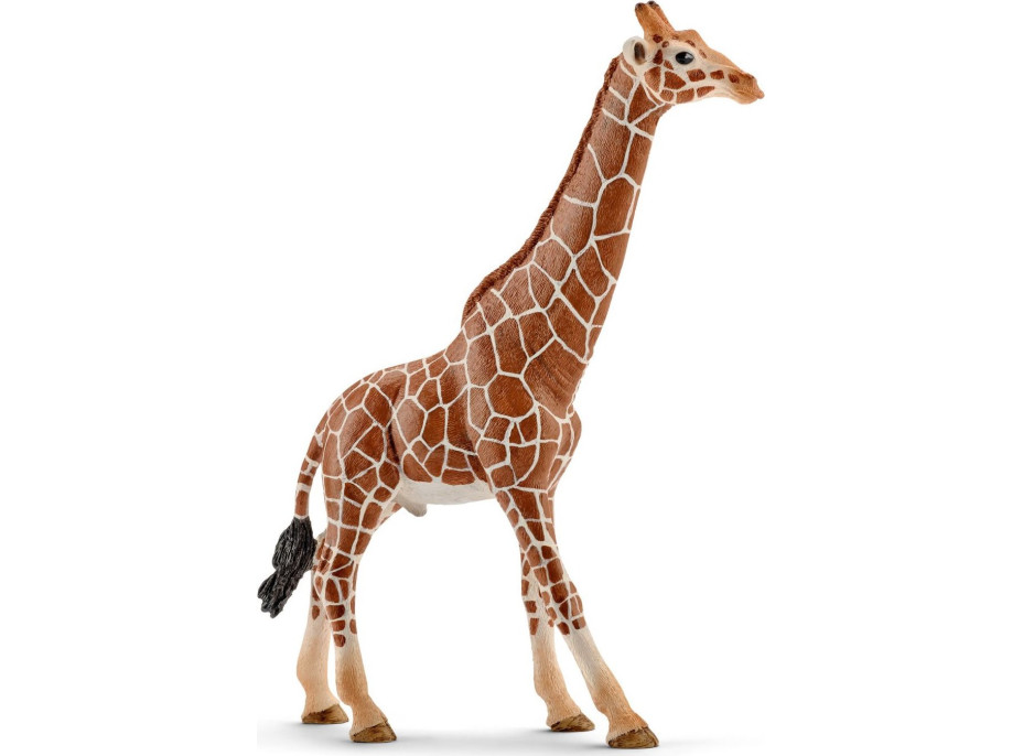 SCHLEICH Wild Life® 14749 Samec žirafy