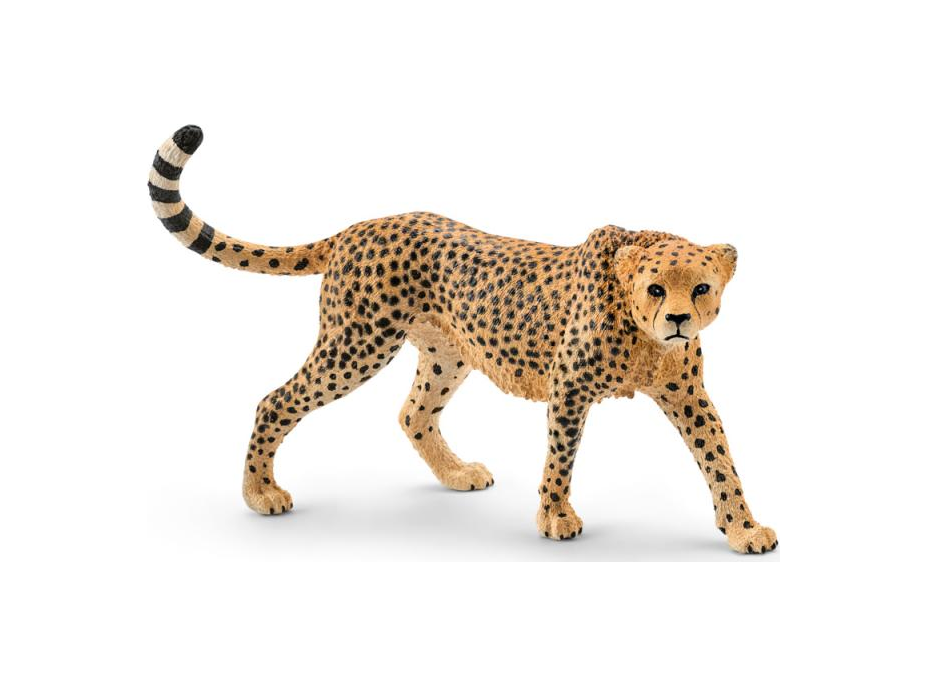 SCHLEICH Wild Life® 14746 Samica geparda