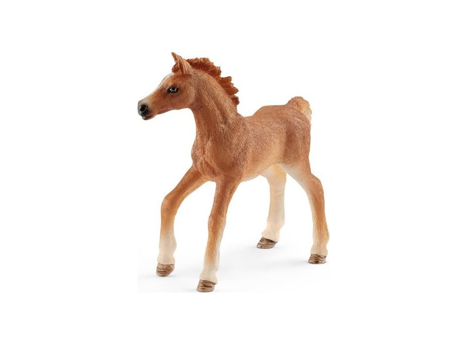 SCHLEICH Horse Club® 42361 Žriebä s dievčaťom a príslušenstvom