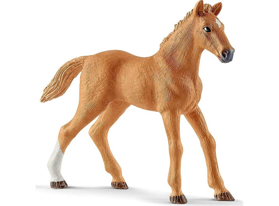 SCHLEICH horse Club® 42458 Hosťujúce kone s fenkou Ruby