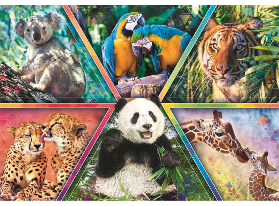 TREFL Puzzle Animal Planet: Kráľovstvo zvierat 1000 dielikov