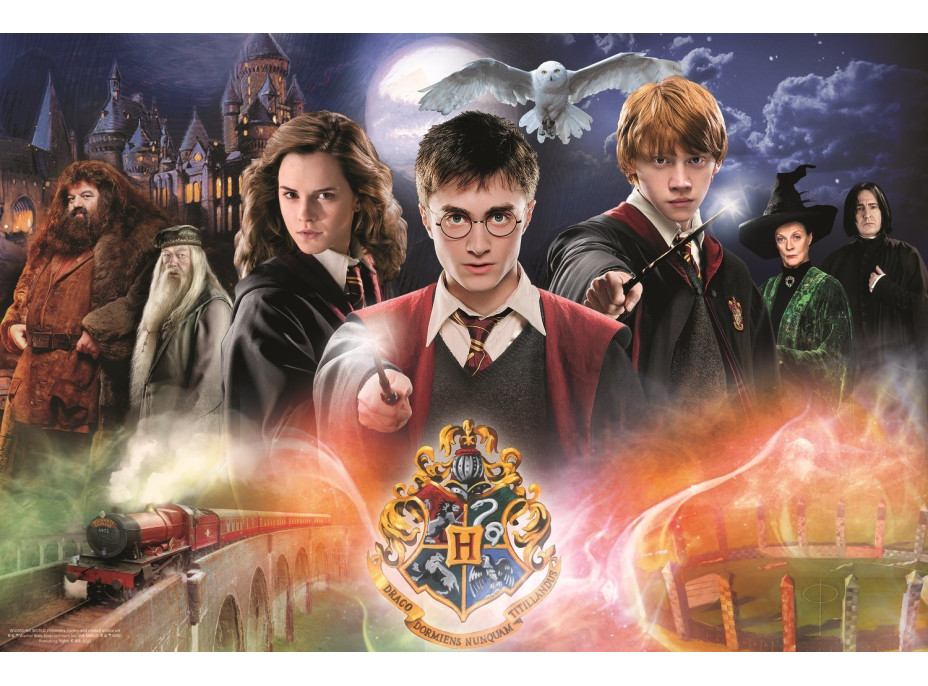 TREFL Puzzle Tajomný Harry Potter 300 dielikov