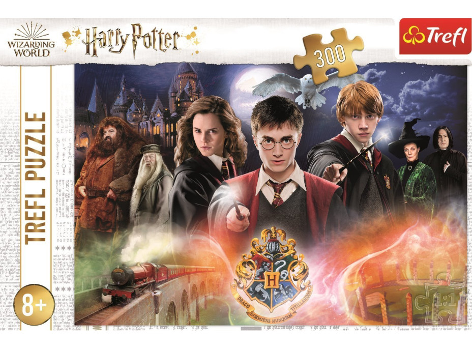 TREFL Puzzle Tajomný Harry Potter 300 dielikov