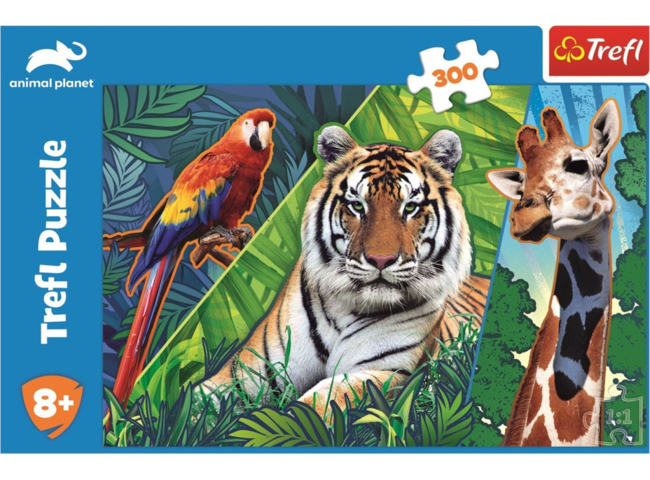 TREFL Puzzle Animal Planet: Úžasné zvieratá 300 dielikov
