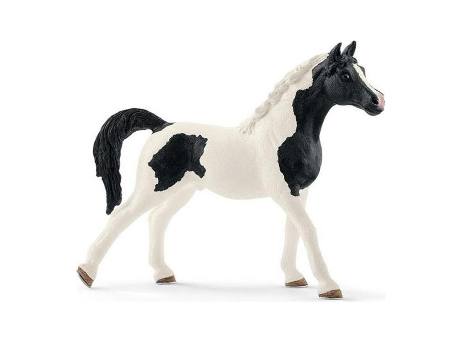 SCHLEICH Horse Club® 13840 Kôň Pinto Arab - žrebec