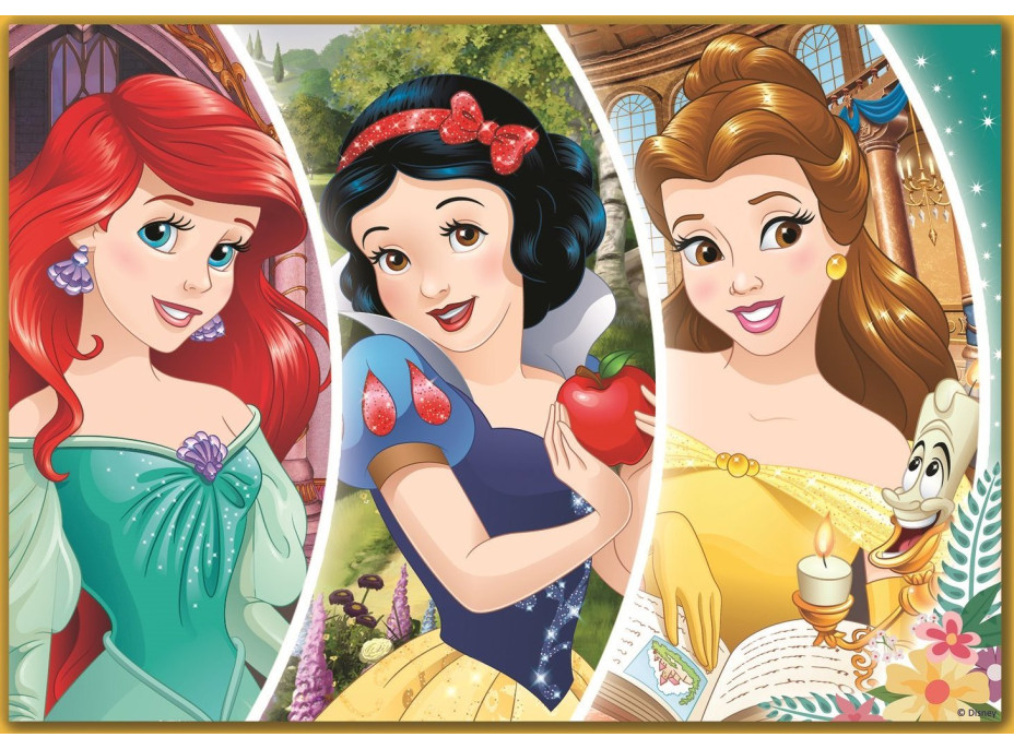 TREFL Puzzle Disney princeznej: Šťastný deň 4v1 (35,48,54,70 dielikov)