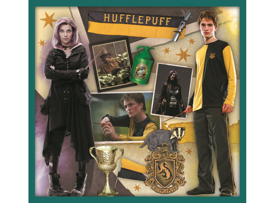 TREFL Puzzle Harry Potter MEGA PACK 10v1