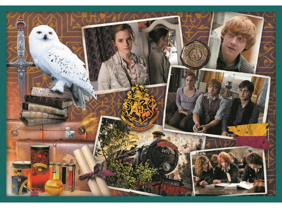 TREFL Puzzle Harry Potter MEGA PACK 10v1