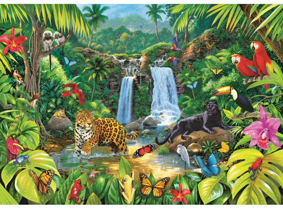TREFL Puzzle Tropický dažďový prales 2000 dielikov