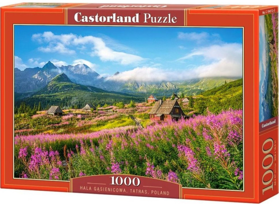 CASTORLAND Puzzle Dolina Gąsienicowa, Tatry 1000 dielikov