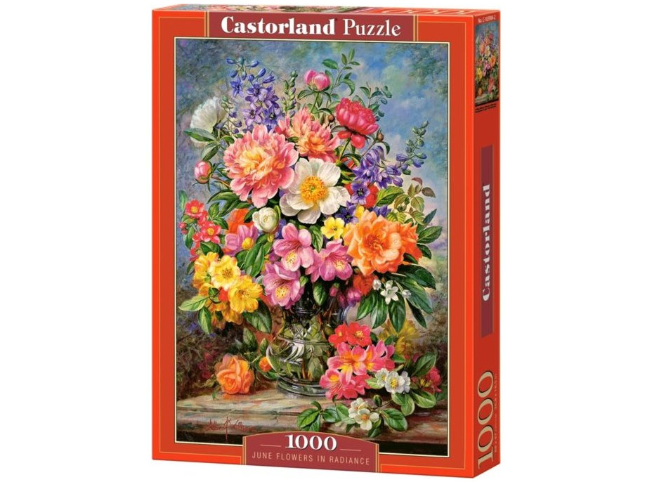 CASTORLAND Puzzle Júnové kvety 1000 dielikov