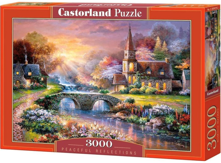 CASTORLAND Puzzle Izbový odlesk 3000 dielikov