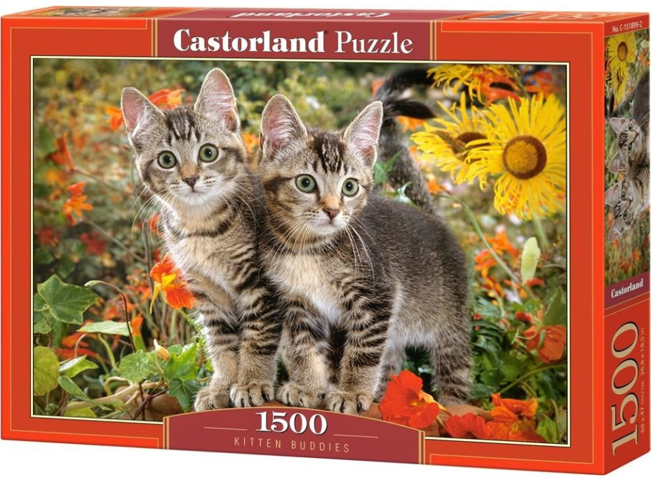 CASTORLAND Puzzle Mačacie priatelia 1500 dielikov