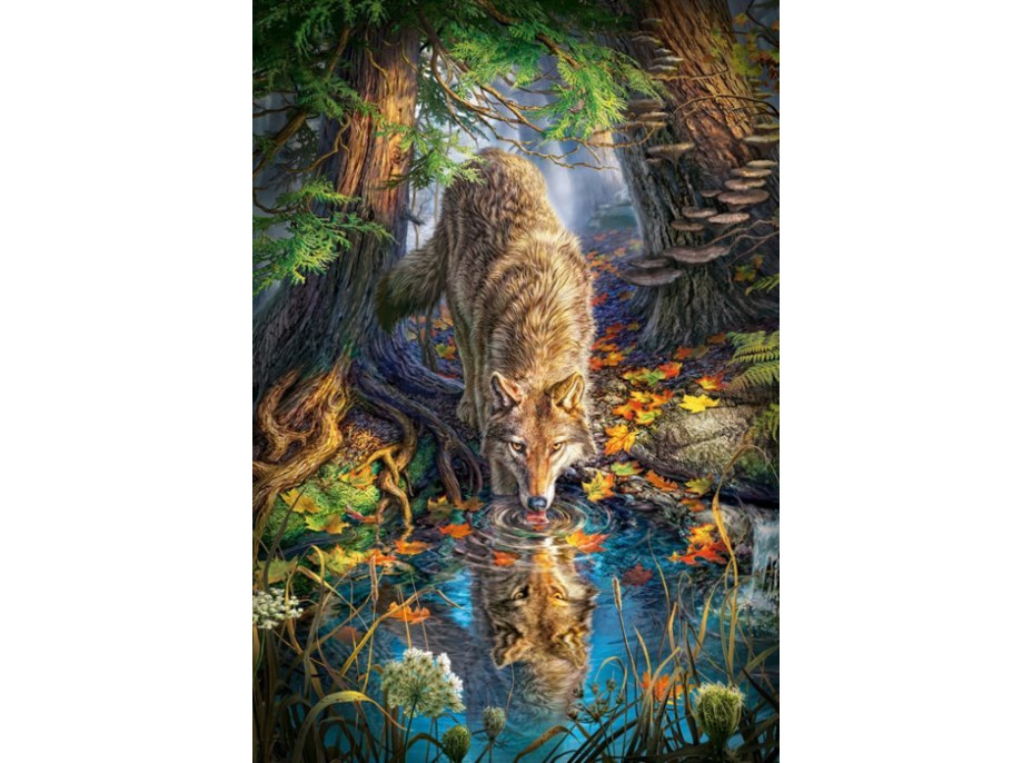 CASTORLAND Puzzle Pijúci vlk 1500 dielikov