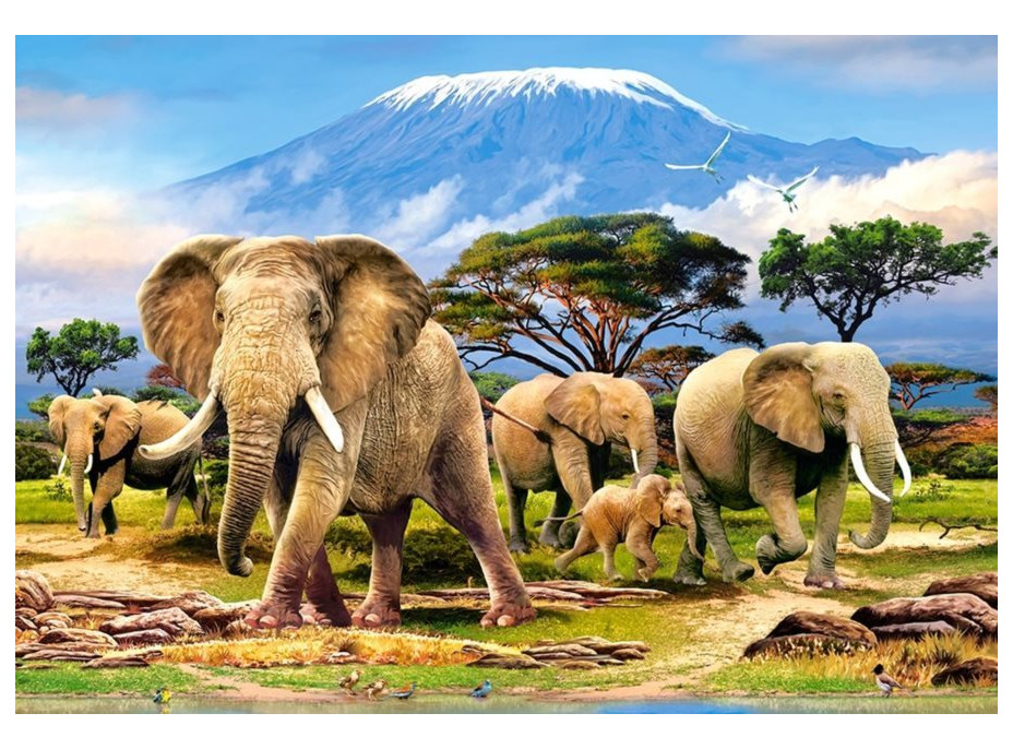 CASTORLAND Puzzle Ráno pod Kilimandžárom 1000 dielikov