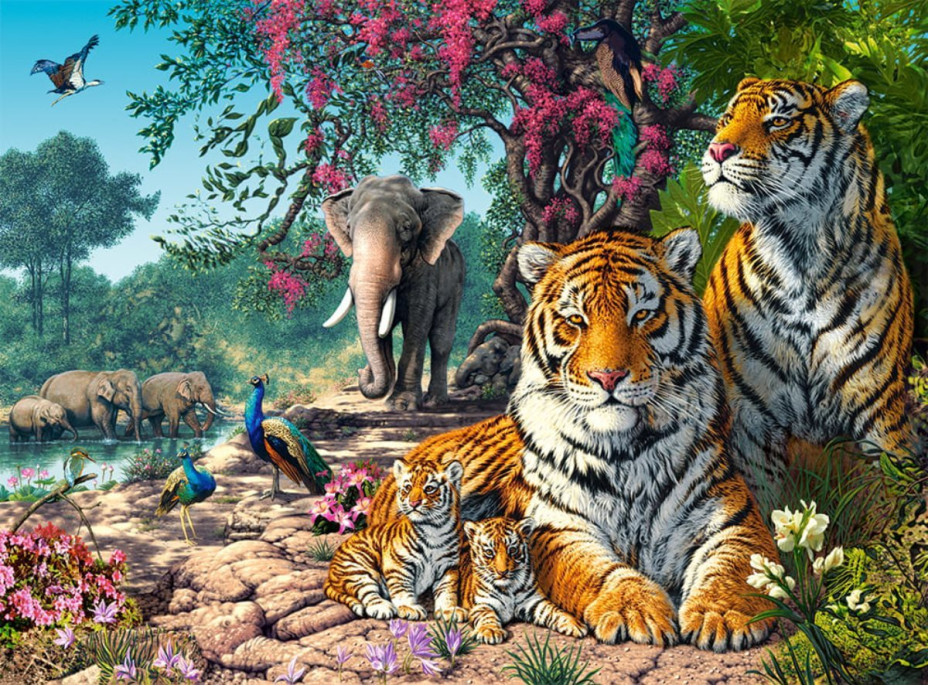 CASTORLAND Puzzle Tigrie útočisko 3000 dielikov