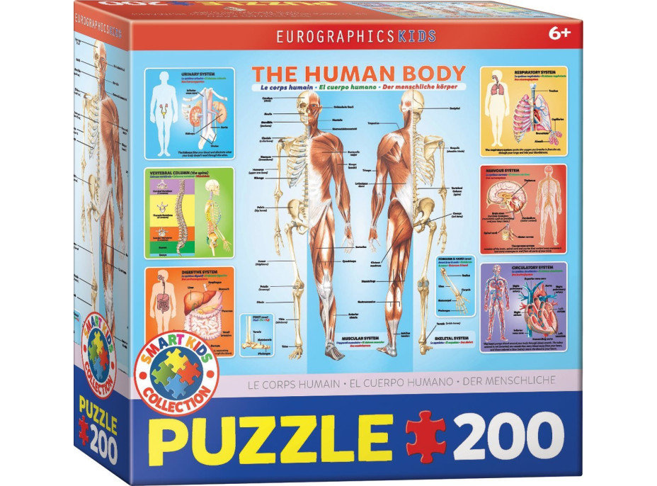 EUROGRAPHICS Puzzle Ľudské telo 200 dielikov