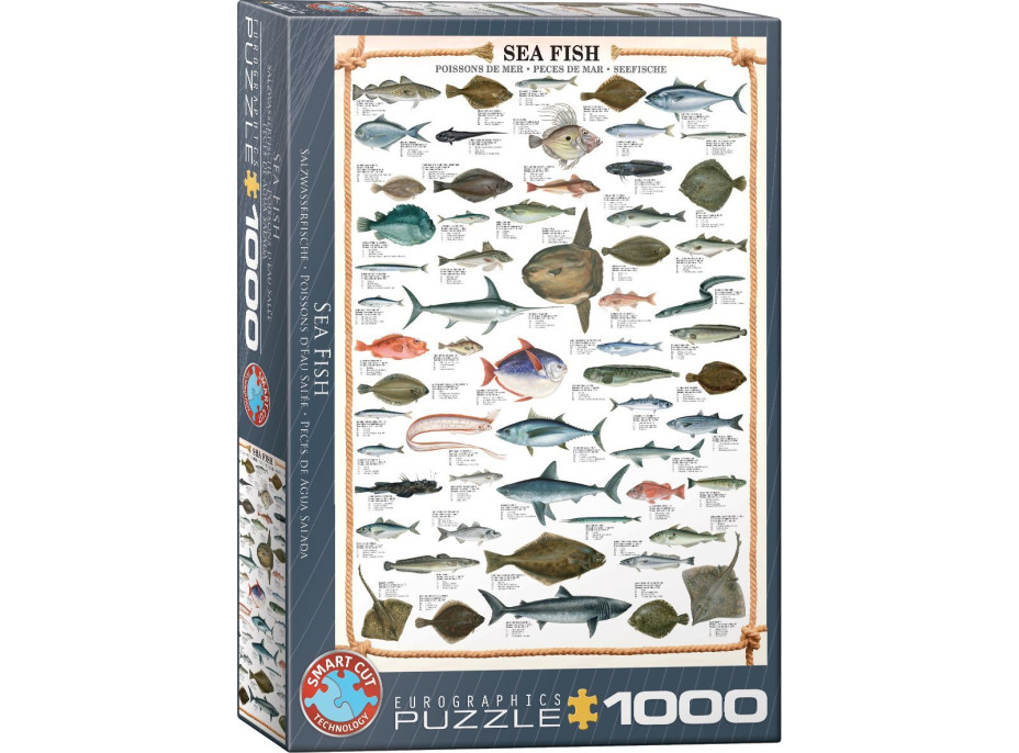 EUROGRAPHICS Puzzle Morské ryby 1000 dielikov