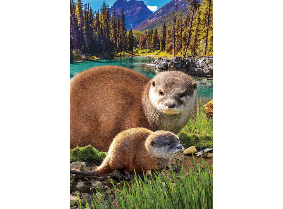 EUROGRAPHICS Puzzle Save Our Planet: Vydry XL 250 dielikov