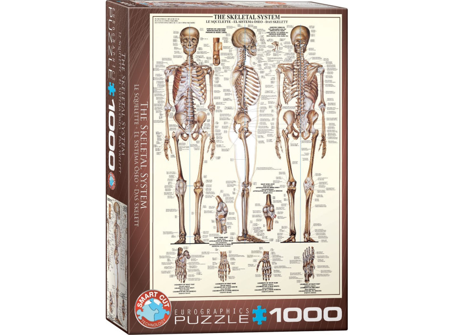 EUROGRAPHICS Puzzle Kostrová sústava 1000 dielikov