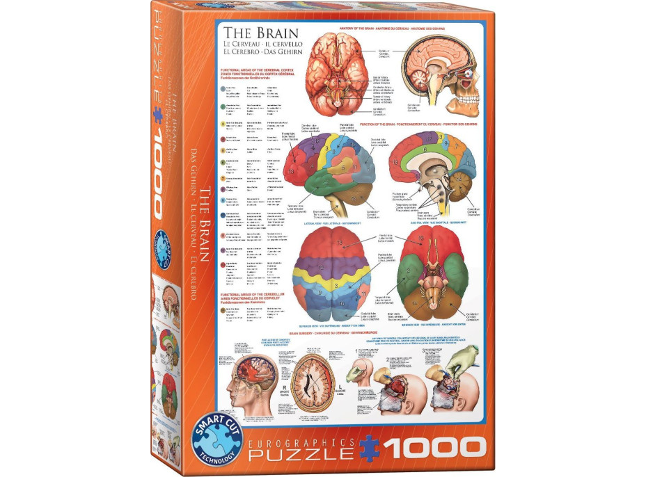 EUROGRAPHICS Puzzle Mozog 1000 dielikov