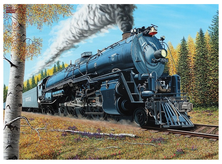 COBBLE HILL Puzzle Santa Fe 3751 1000 dielikov